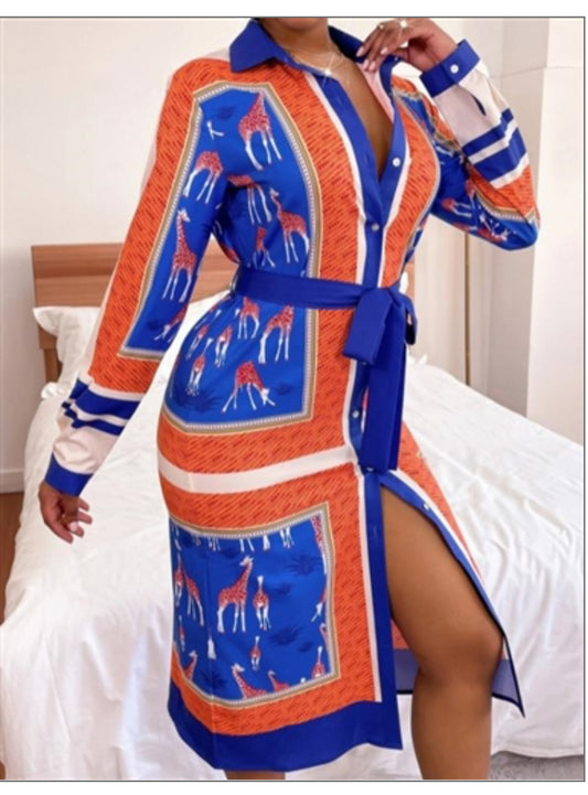 Printed Button Down Dress
