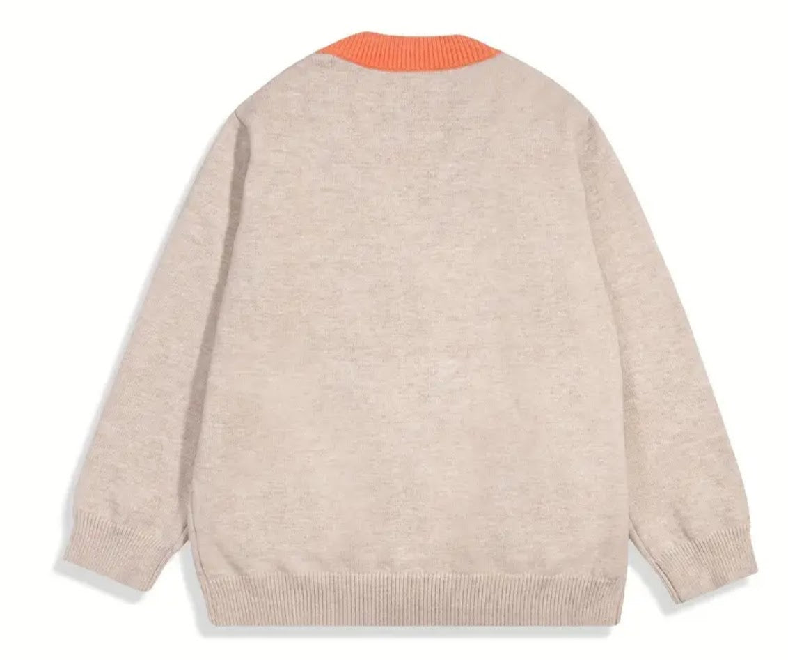 Cardigan Color Block Sweater