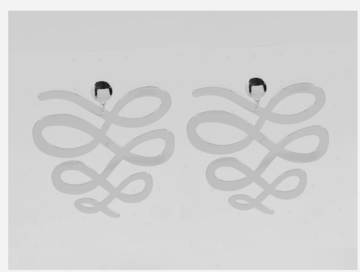 Fashion earrings