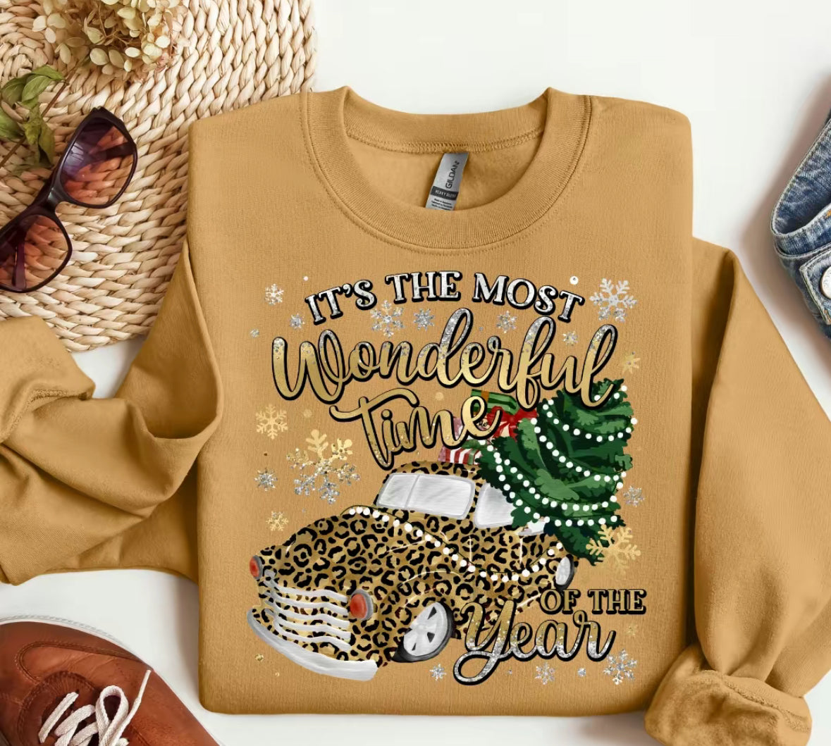 It's the Most Wonderful Time Hoodie