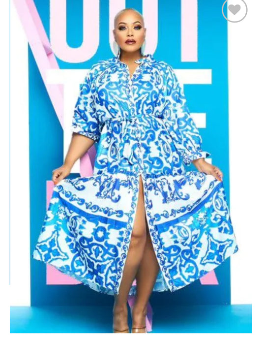 Floral blue and white button down dress
