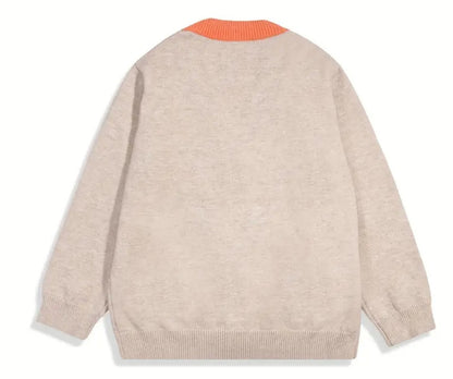 Cardigan Color Block Sweater