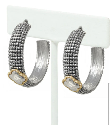 Silver/Gold earrings