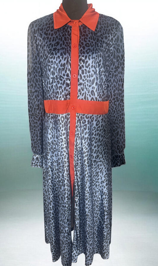 Blue Button Down Printed Dress